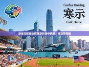 斯洛文尼亚队在激烈对战中获胜，成功晋级强