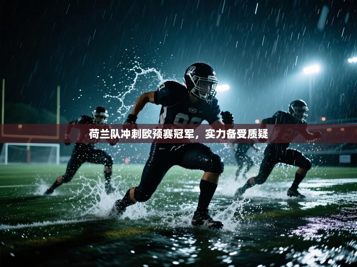 荷兰队冲刺欧预赛冠军,实力备受质疑 第2张